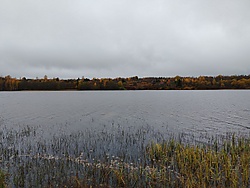 Järved-külä