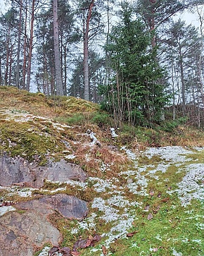 Lambergan ymbäristöt