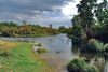 Lobau 8.JPG