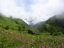 Valley of flowers uttaranchal full view.JPG