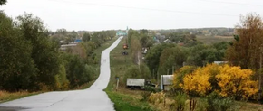 С. Палаевка.webp