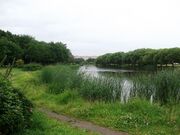 Park AviatorovSPb.JPG