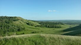 Артовкс
