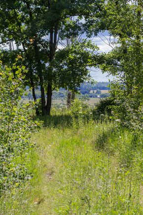 Chuchkovsky District, Ryazan Oblast, Russia - panoramio.jpg
