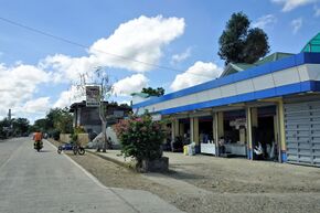 Danao Bohol 2.jpg