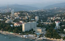 RIAN archive 166989 Sochi.jpg