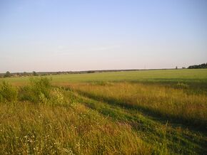 Юрово. В поле вечером - panoramio.jpg