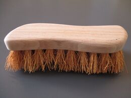 Brosse à main dite aussi brosse à laver, brosse chiendent.jpg