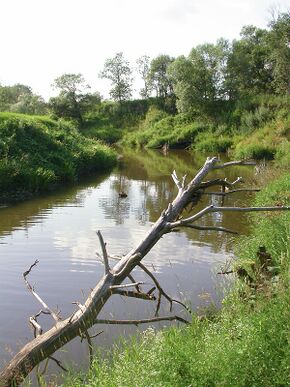 Lama river.jpg