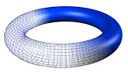 Torus.jpg