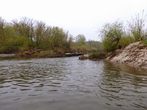 Red Yar, Turkovsky District.jpg