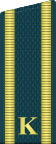 Russia-Airforce-OF-(D)-2010.svg