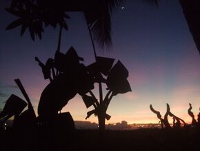 Bunawan agusan del sur san teodoro pic001.jpg