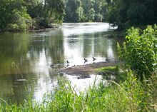 Sim River.jpg
