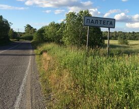 Палтега 1.jpg