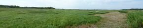 Kalininsky District, Saratov Oblast, Russia - panoramio.jpg