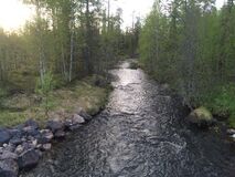 Londuzkuva joksmust vaste.