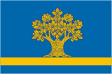 Флаг[d]