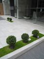 Modern Building in Quito, capital city of Ecuador, five bushes.jpg