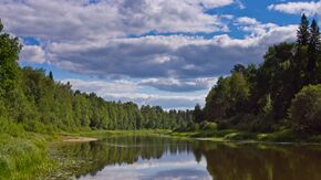 Калмово озеро - panoramio.jpg