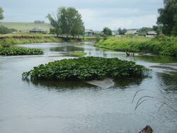 Bol'shoy Ik River (inflow of Ay).jpg