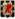 RomanovsCoatRF.png
