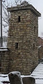 Dondi5.jpg