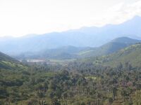 Palmar de Ocoa, Chile.jpg