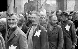 Могилёв геттоһы йәһүдтәре, 1941 йыл
