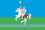 Flag of Sasylsky nasleg.png