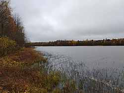 Järved-külä