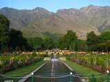 India - Srinagar - 023 - Nishat Bagh Mughal Gardens.jpg