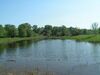 Lake Chicheri. Volga-Akhtuba floodplain.JPG