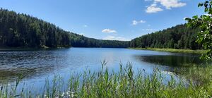 Озеро Глухое (Марий Эл) 05.jpg