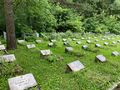 Mass grave at Nagornoe cemetery-4.jpg