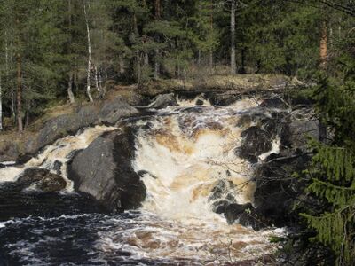 Ruskealan kosket Tohmajovel