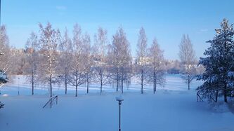 Talvimaisema.jpg