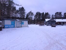 Дер. Койриноя.jpg