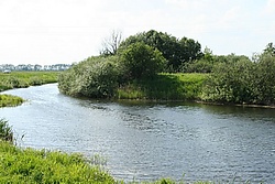 Ошла.jpg