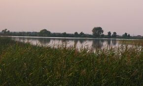 Белое озеро - panoramio (2).jpg