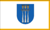 Flag of Druskininkai.png