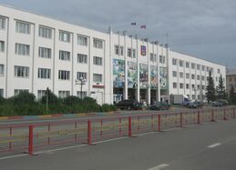 Lidnan administracijan sauvuz vl 2009