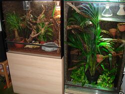 Terrarium2.jpg