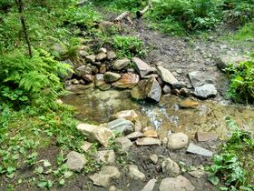 Родник Онежский, вид 2.jpg