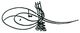 Tughra of Mehmed III.JPG