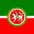Standard for Tatarstan.svg