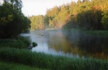Parnujoki.jpg
