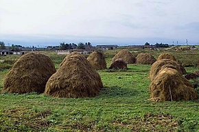 Дома 1125 км.jpg