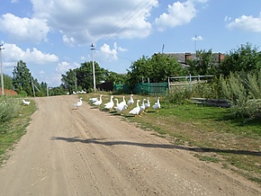 Романово. Воткинский район.jpg