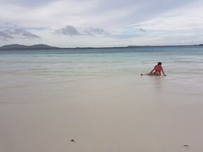 Benlen Sandbar of Balabac.jpg